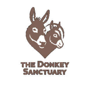 Link to the Sidmouth Donkey Sanctuary Sidmouth
